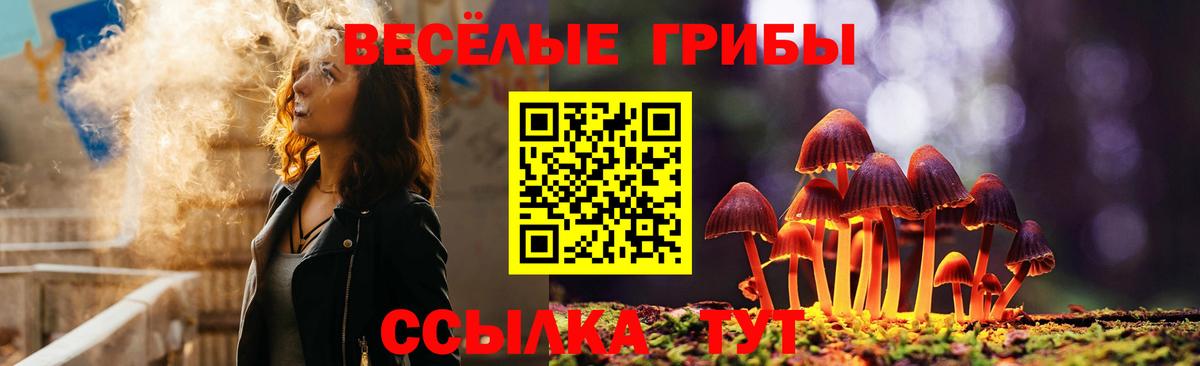 Псилоцибиновые грибы ЛСД Ефремов